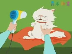 青禾漫画,描绘青春岁月的温馨画卷