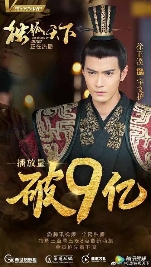 徐正溪演过的电视剧,多面角色演绎，魅力四射的荧屏之星